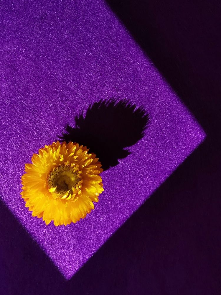 Color through light and shadow