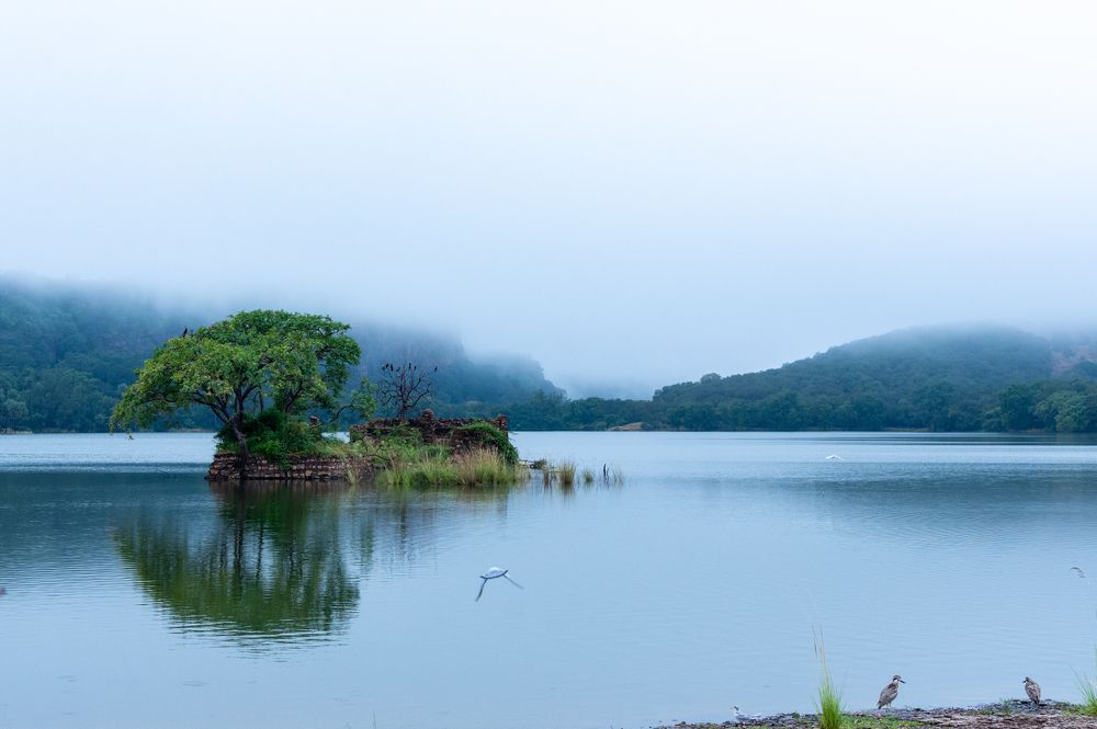 Фотография автора Sunny Saha Pramanick