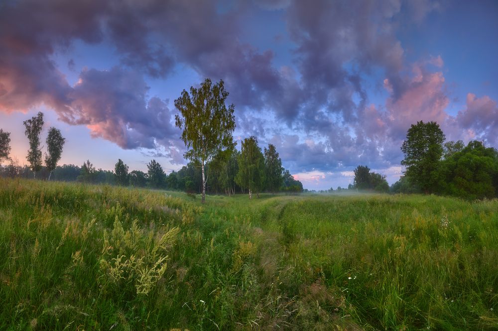 Photograph by Konstantin Voronov