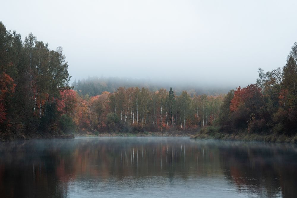 Photograph by Дмитрий Рябцев