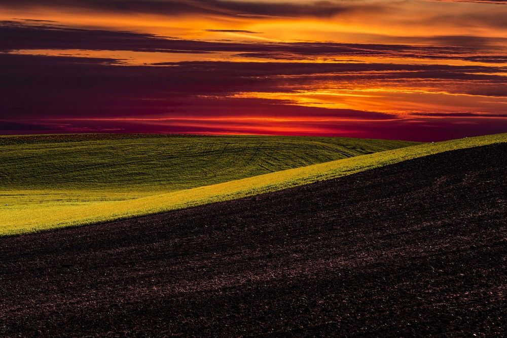 Фотография автора Nicola Lamanna