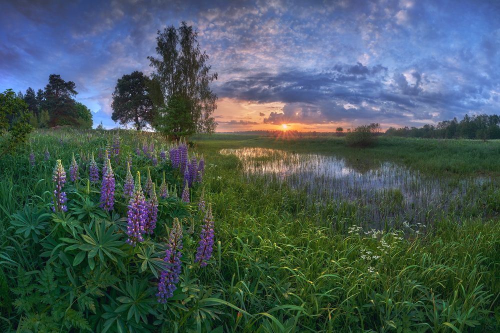 Photograph by Konstantin Voronov