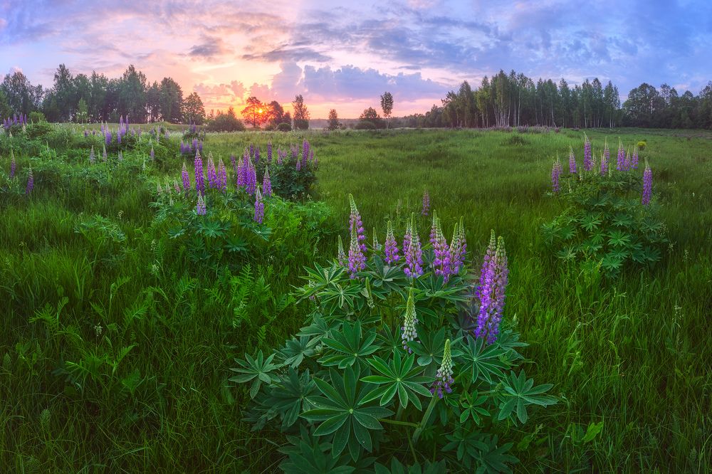Photograph by Konstantin Voronov