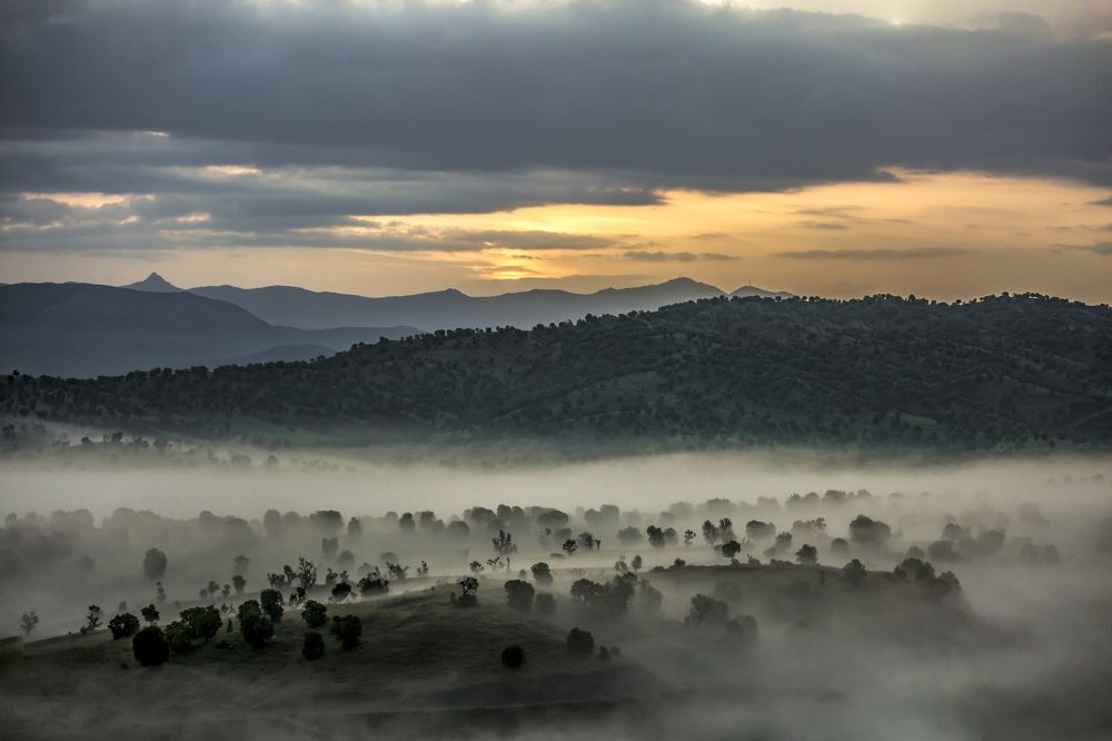 Photograph by aliasadi