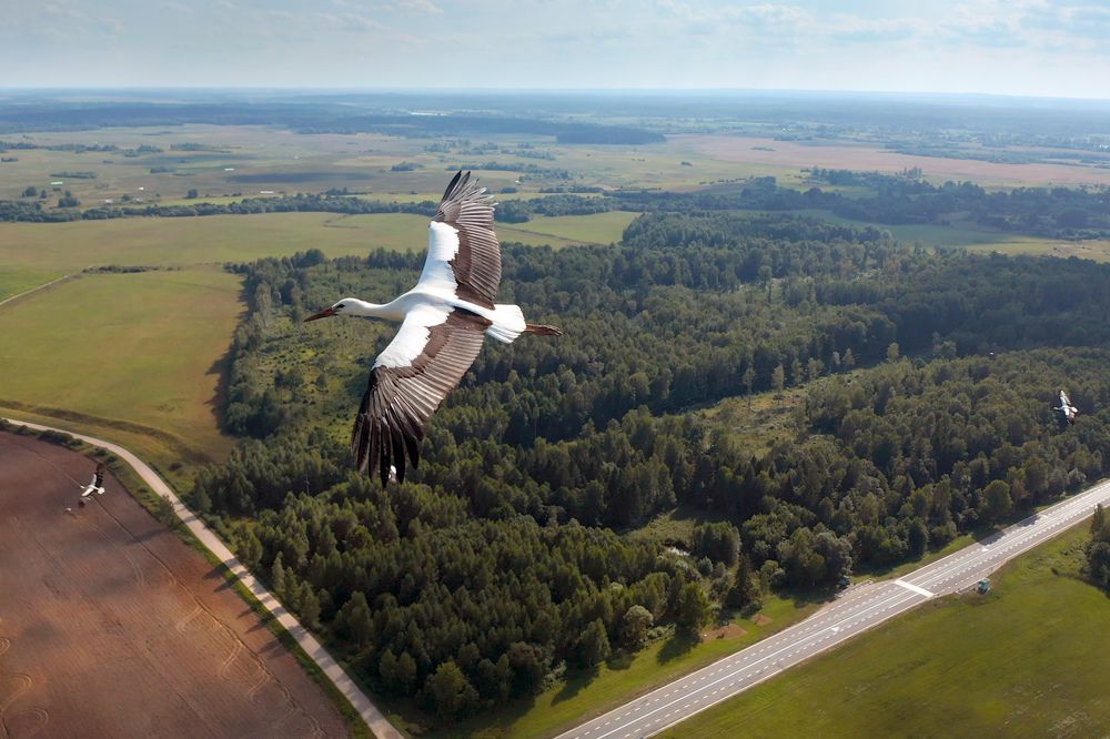 Photograph by Сергей Морозов