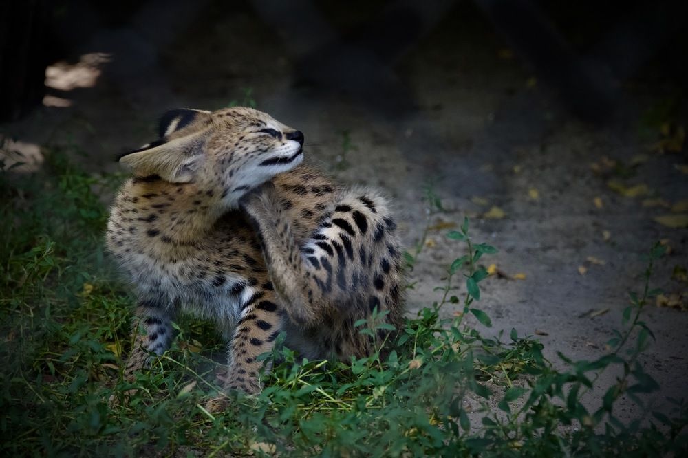 Photograph by Наталья Пирогова