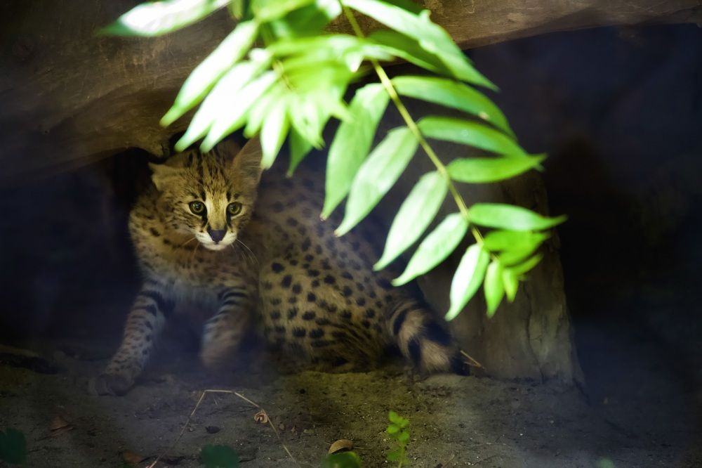 Photograph by Наталья Пирогова