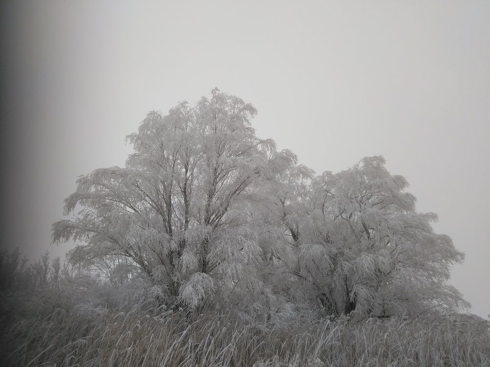 Photograph by SAFRON