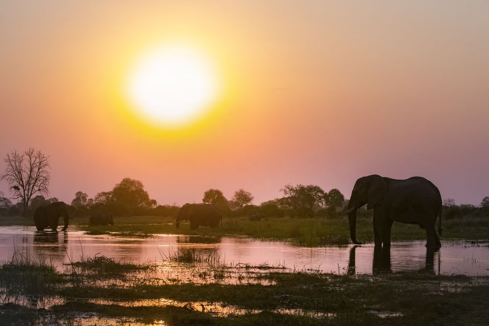 Photograph by THEODORE MATTAS