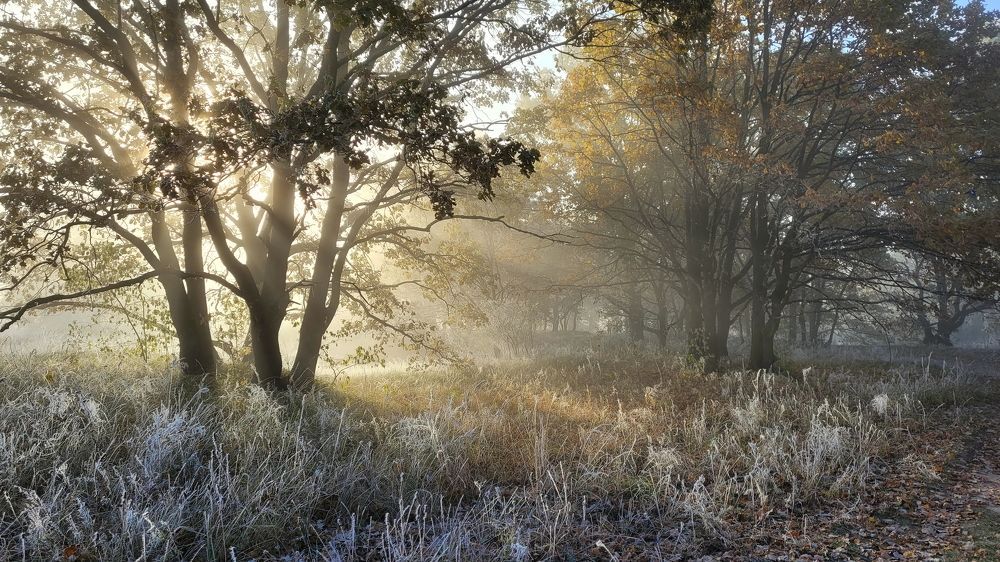 Photograph by Сергей Шляга