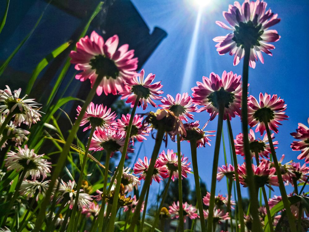 Photograph by Наталья