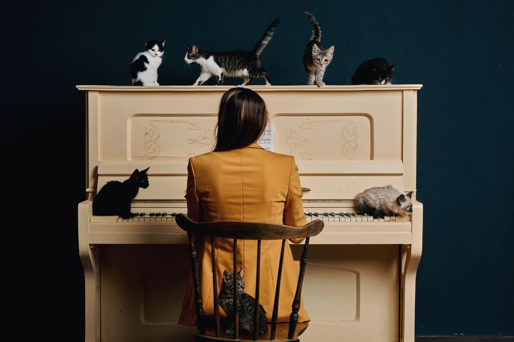 Photograph by Валерий Зенович