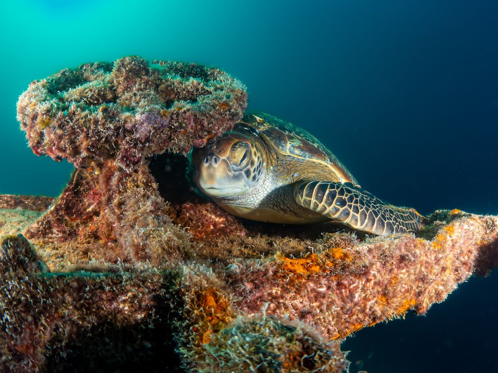 Photograph by Kateryna Terets