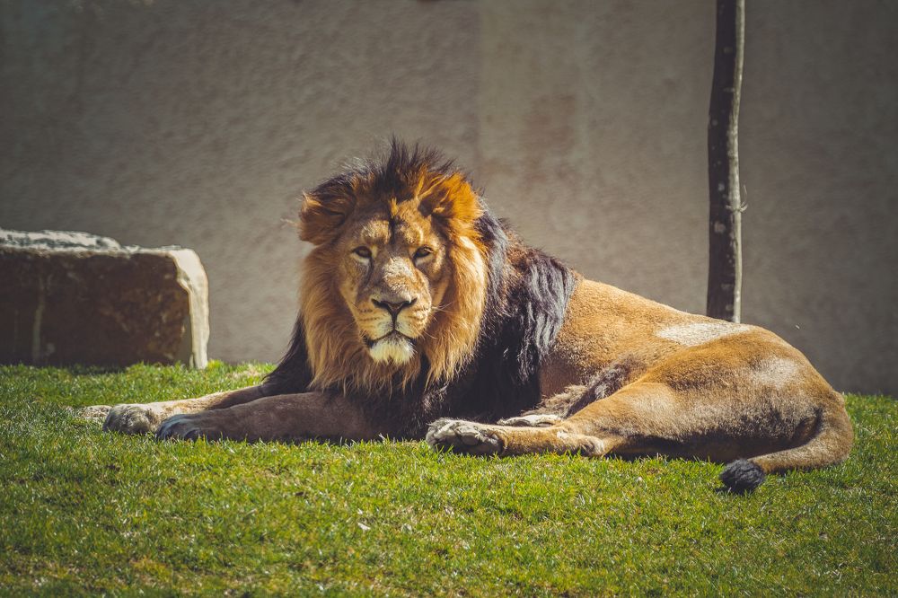 Photograph by Fahrudin Seferagić