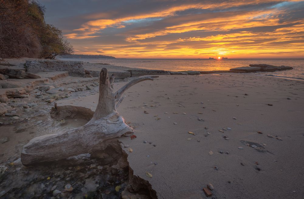 Фотография автора stoyan pavlov