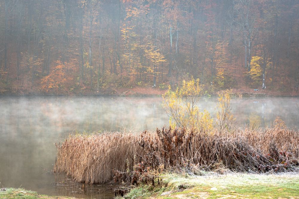 Фотография автора stoyan pavlov