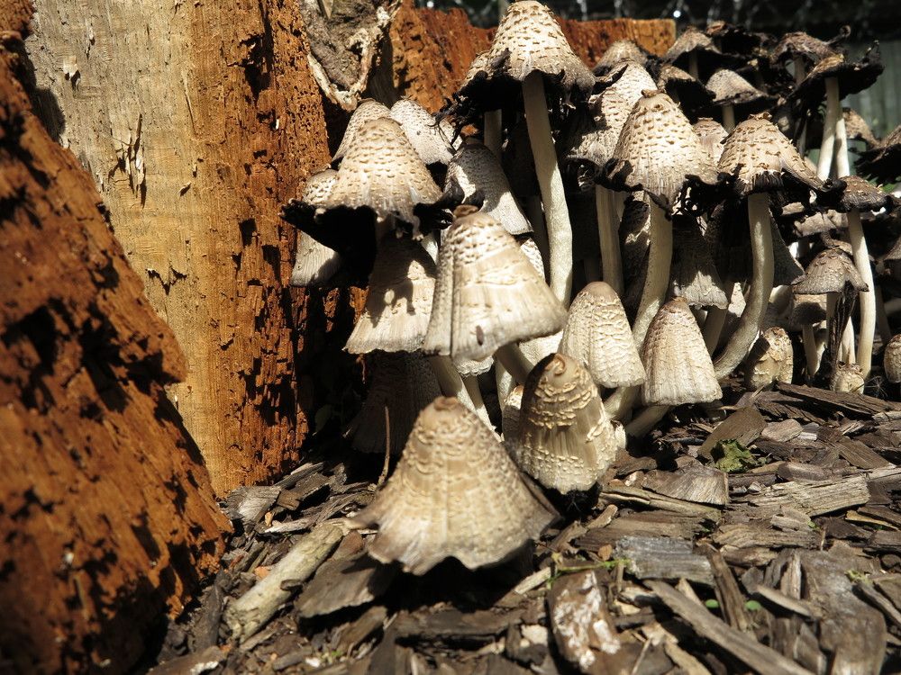 Photograph by Сергей Ножнин