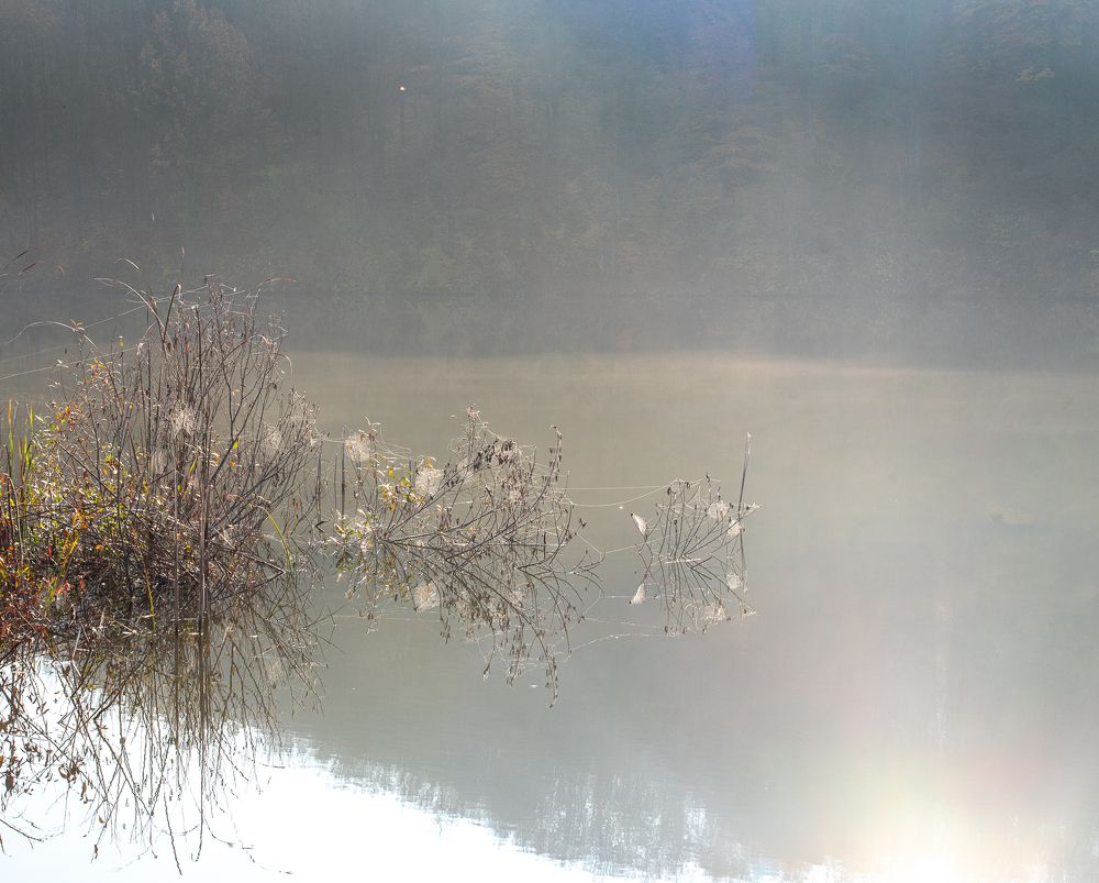 Фотография автора stoyan pavlov