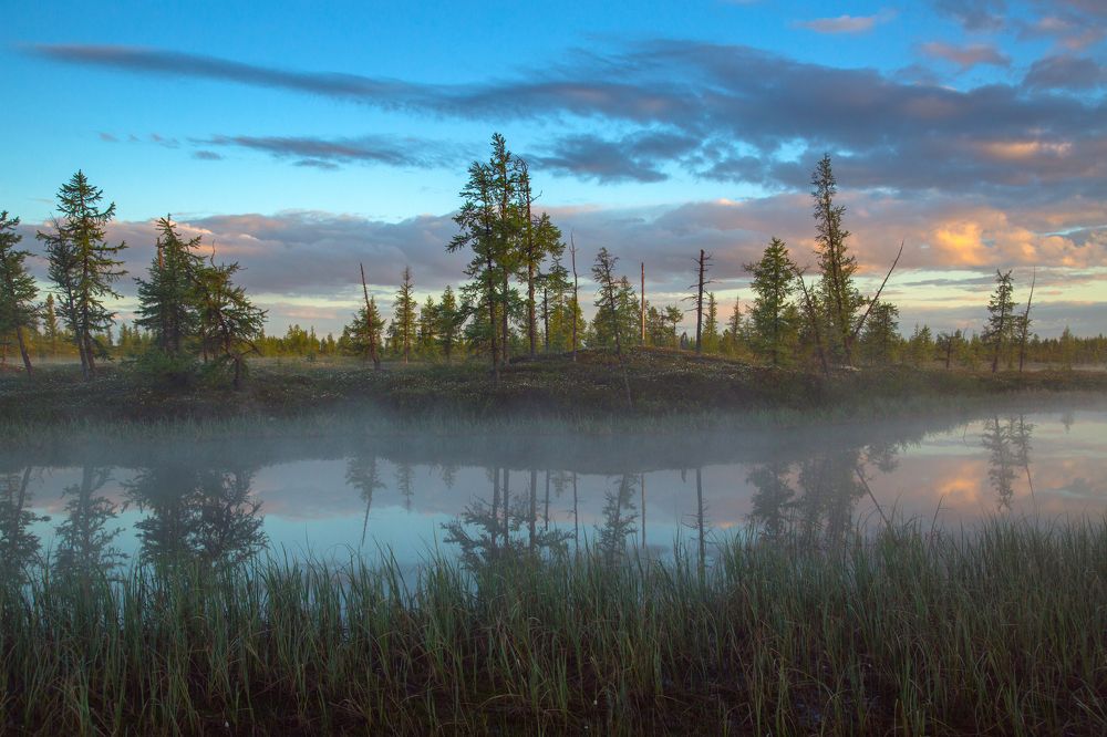 Туман на краю Земли