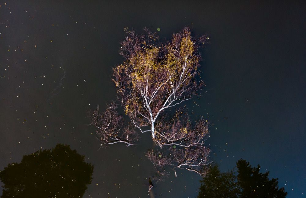 Photograph by Исаков Дмитрий