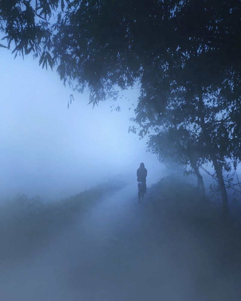 Фотография автора PRADIPTAMOY PAUL