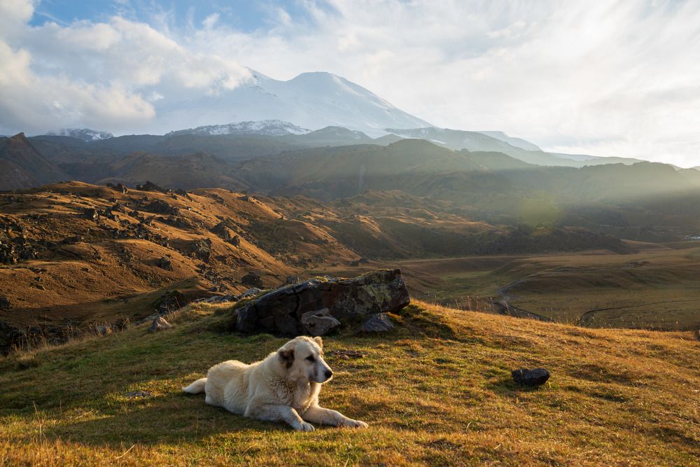 Photograph by Исаков Дмитрий