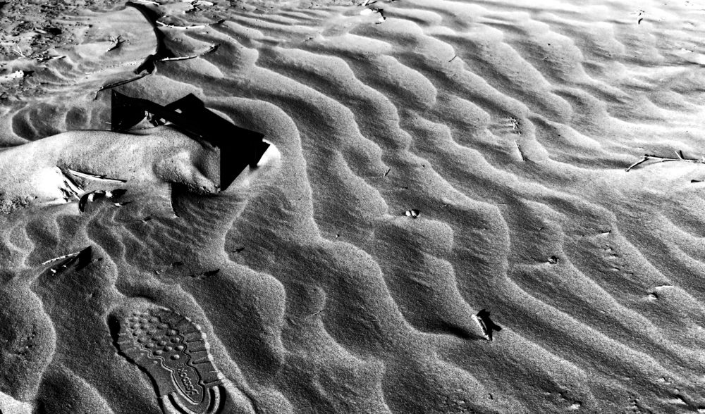 Photograph by Ali Abu Ras