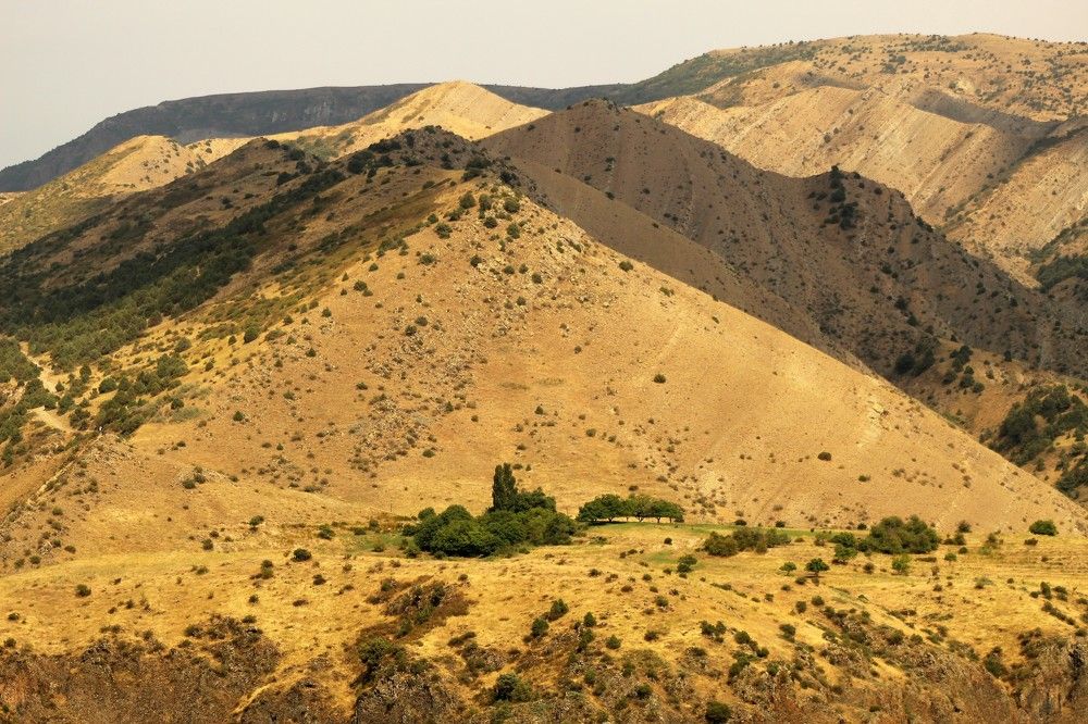 Долина возле гор