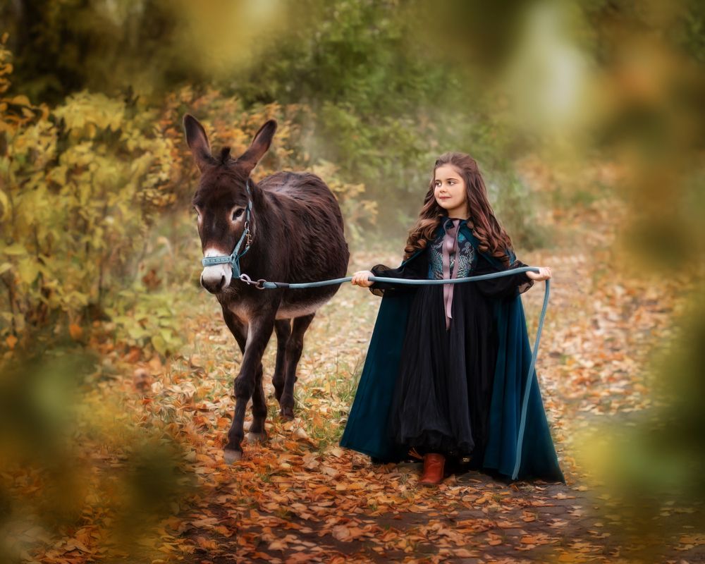 Photograph by Полотенко Екатерина