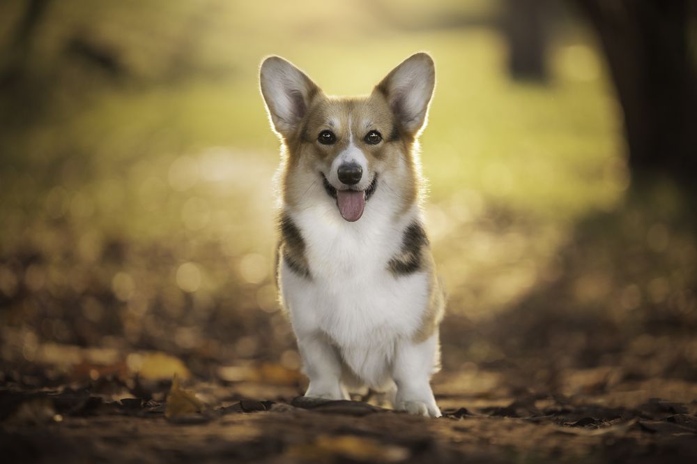 Photograph by Deise de Oliveira