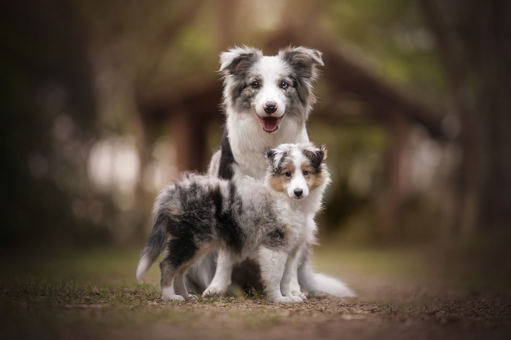 Photograph by Deise de Oliveira