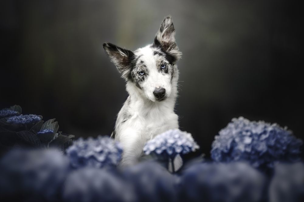 Photograph by Deise de Oliveira