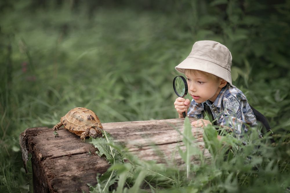 Photograph by Евгения Малахова
