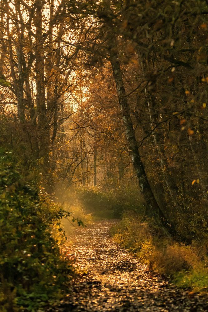 Photograph by Wendy Vanhoudt