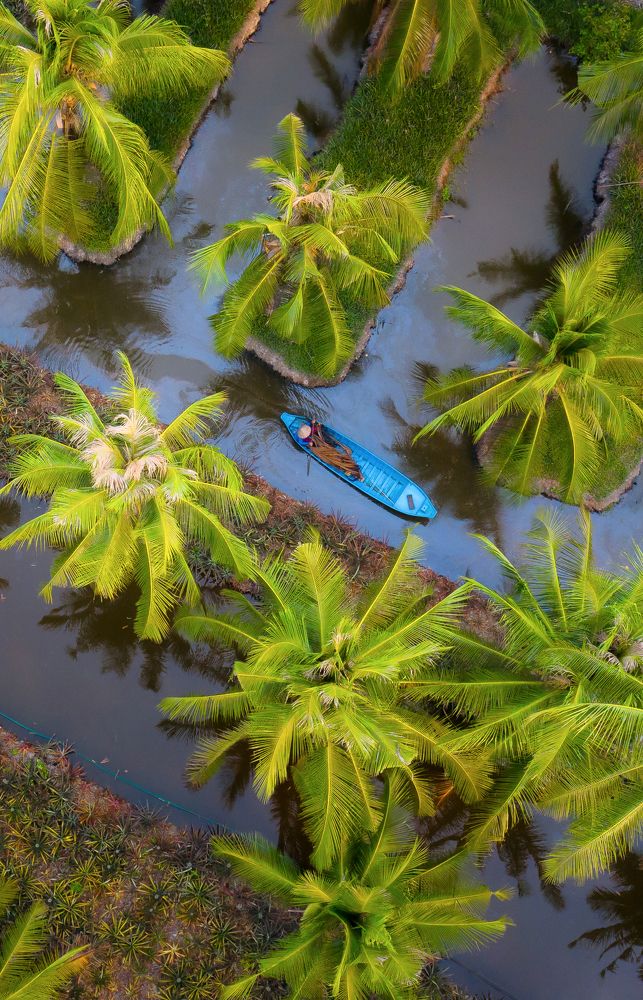 Photograph by Tính Nguyễn