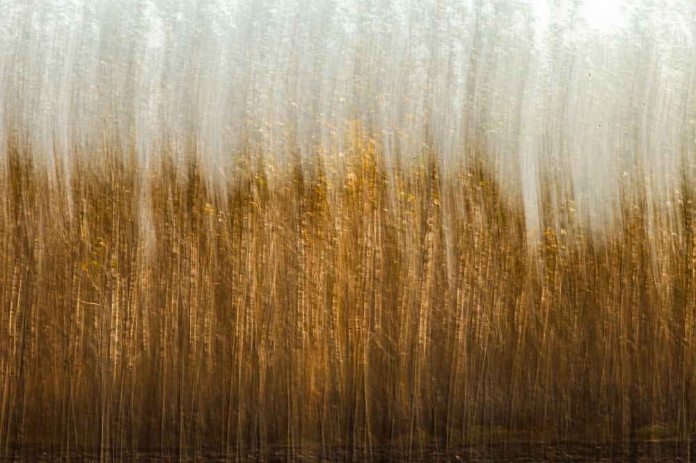 Фотография автора Andrej Levius