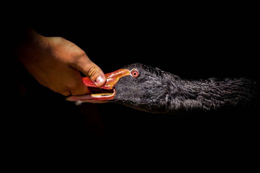 Фотография автора Andrej Levius