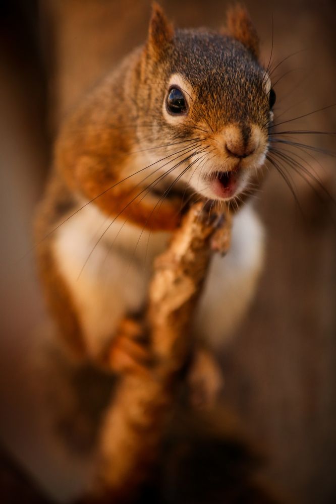 Фотография автора Andrej Levius