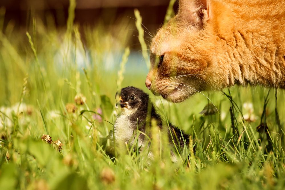 Фотография автора Andrej Levius