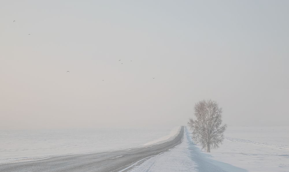 Фотография автора Andrey Pristyazhnyuk