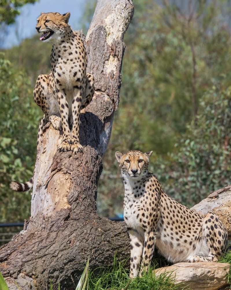 Photograph by Janet Williams