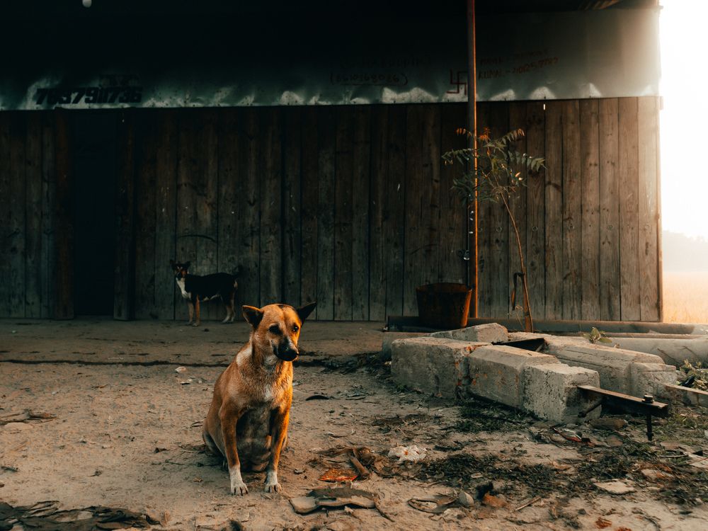 Photograph by Debayon Goswami