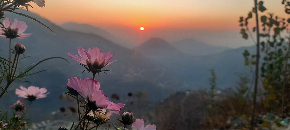 Photograph by Naveed Ahmad