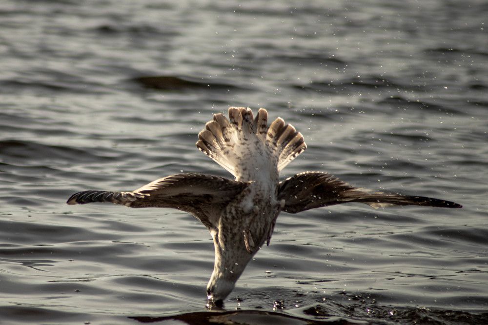 Photograph by Дима Захаров