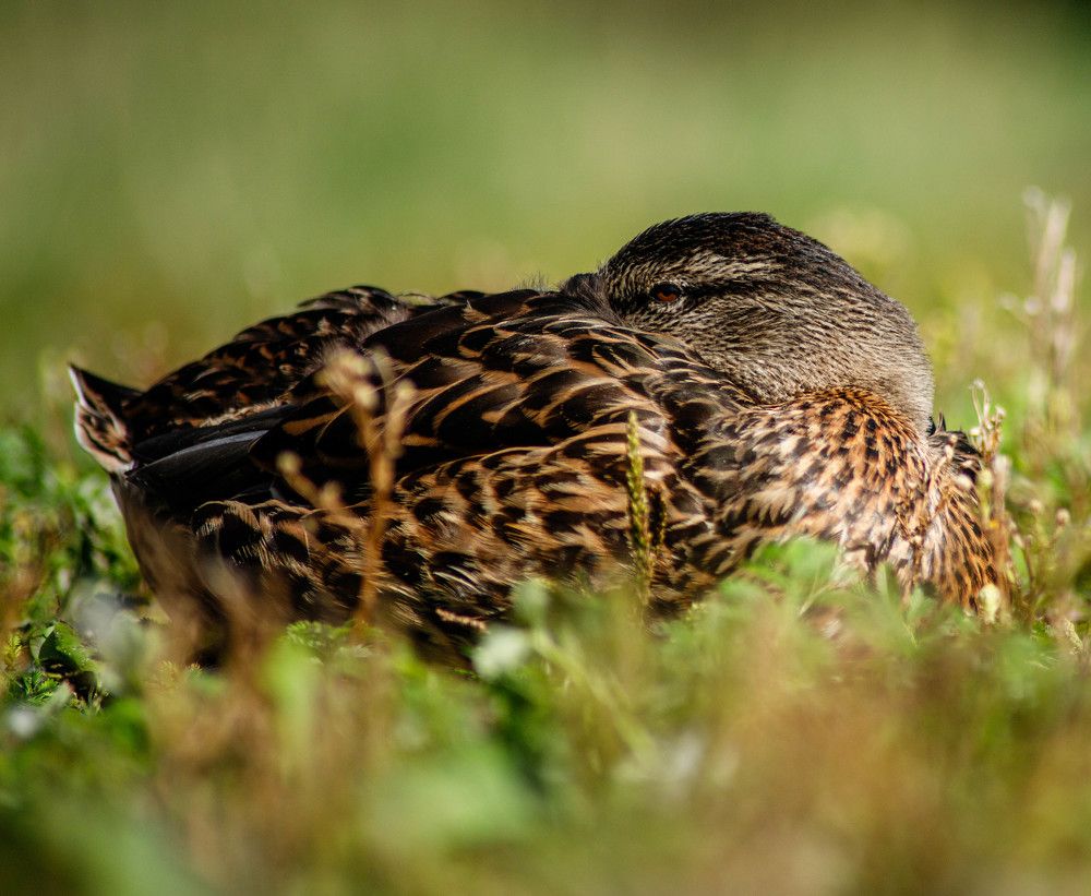 Photograph by Дима Захаров