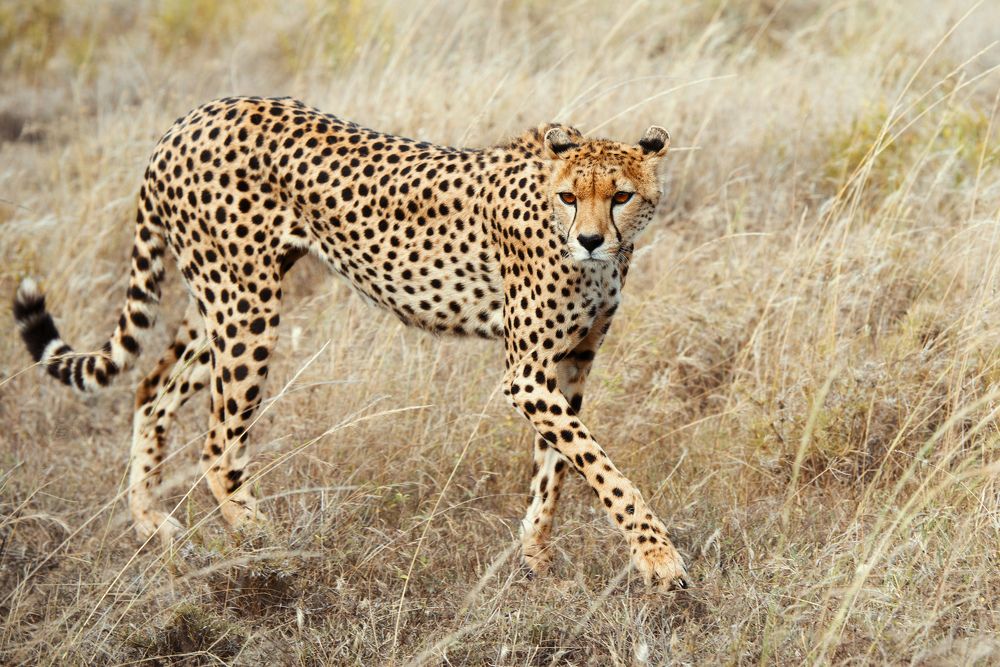 Photograph by Soft Light