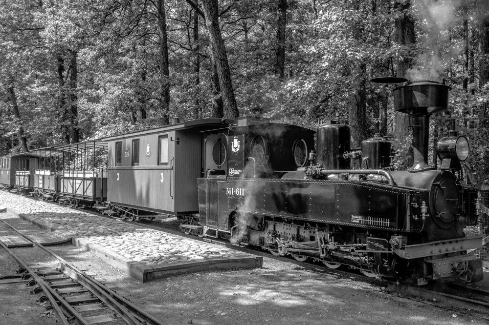 Photograph by Дима Захаров