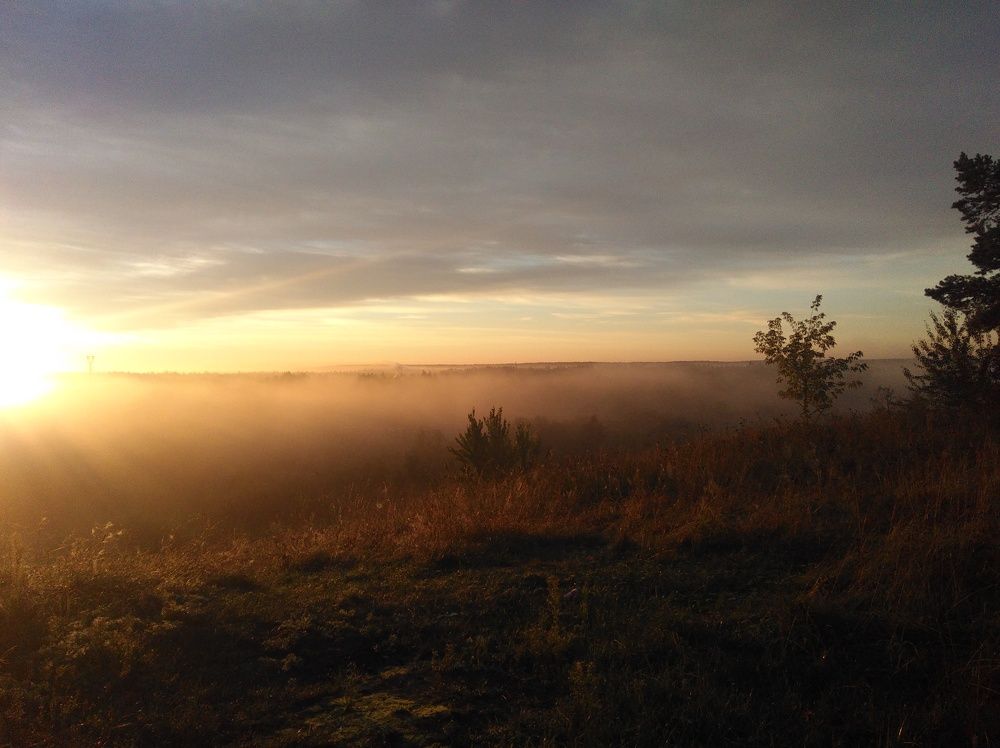 Photo #6790989