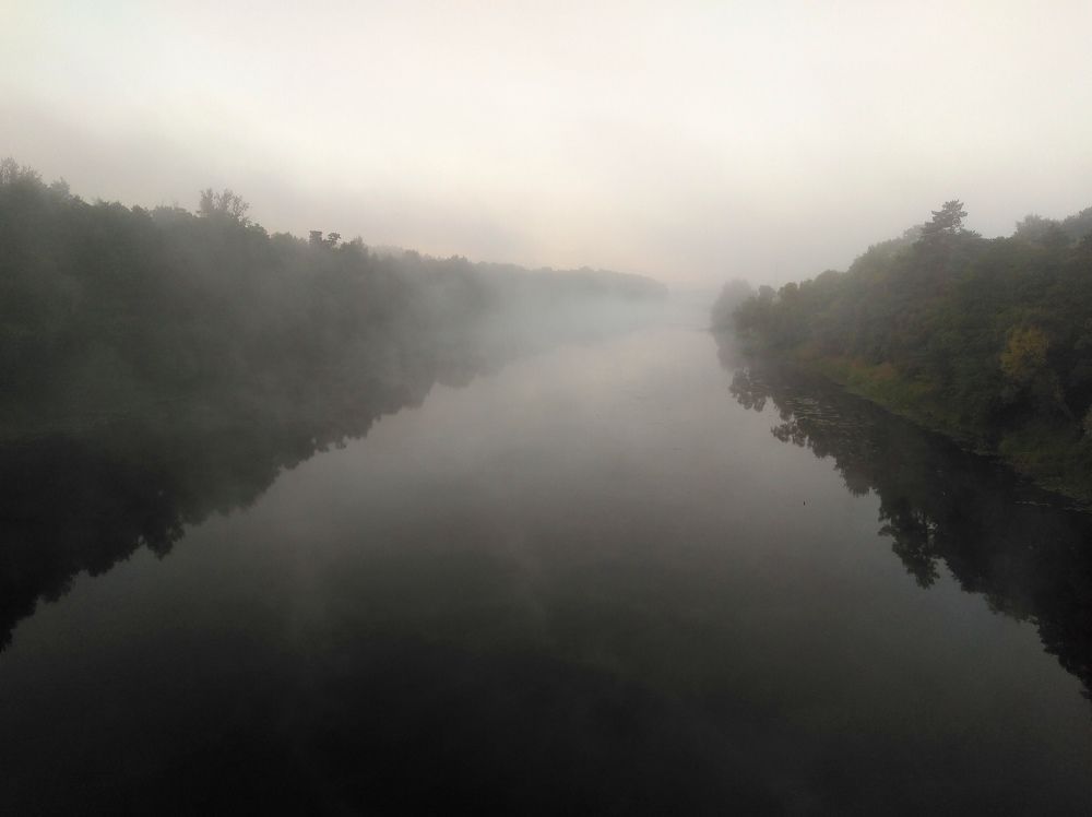 Photo #6791005