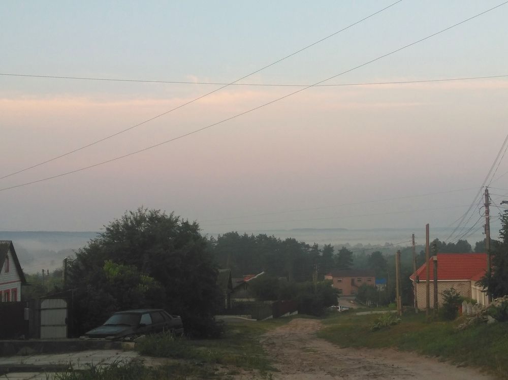 Photo #6791016